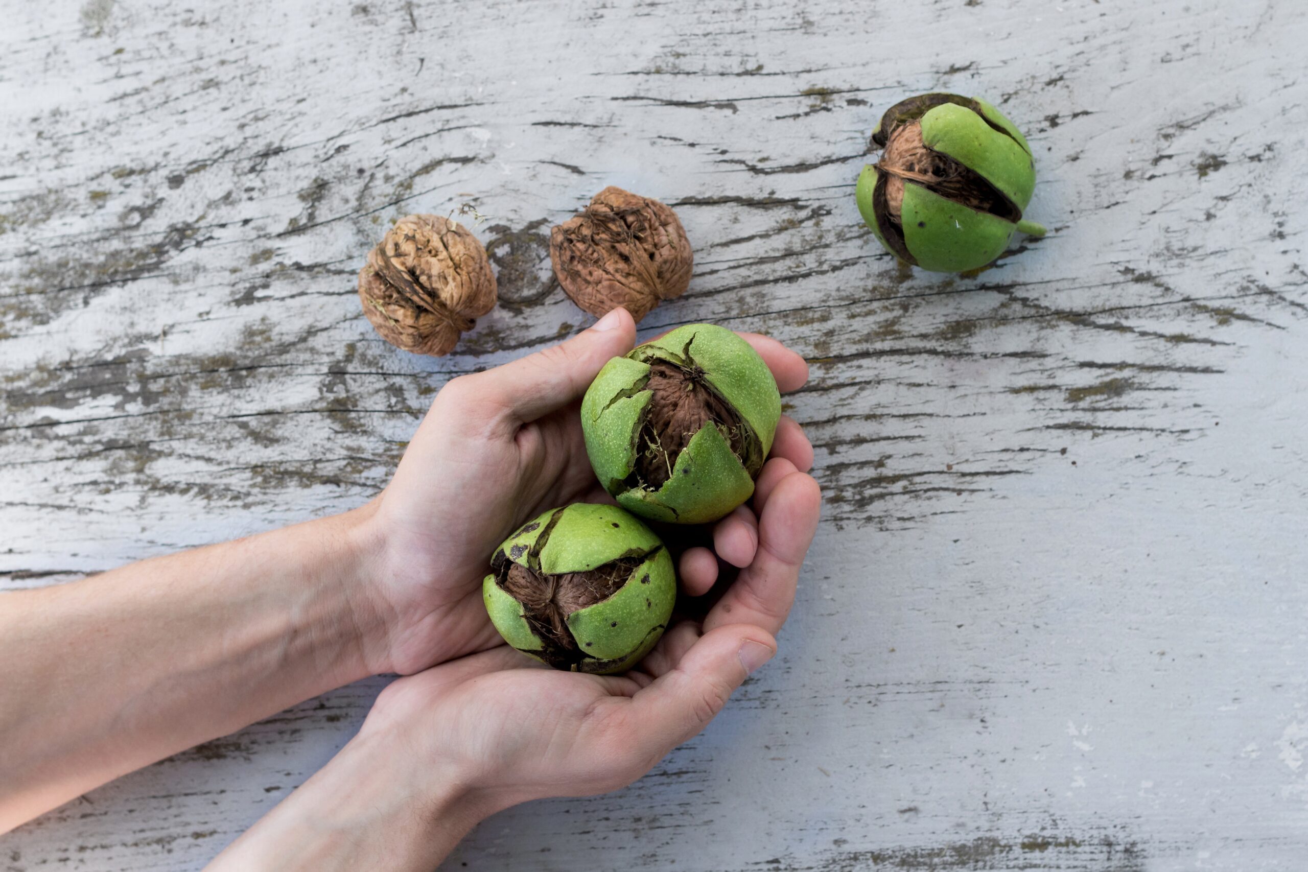 Las nueces