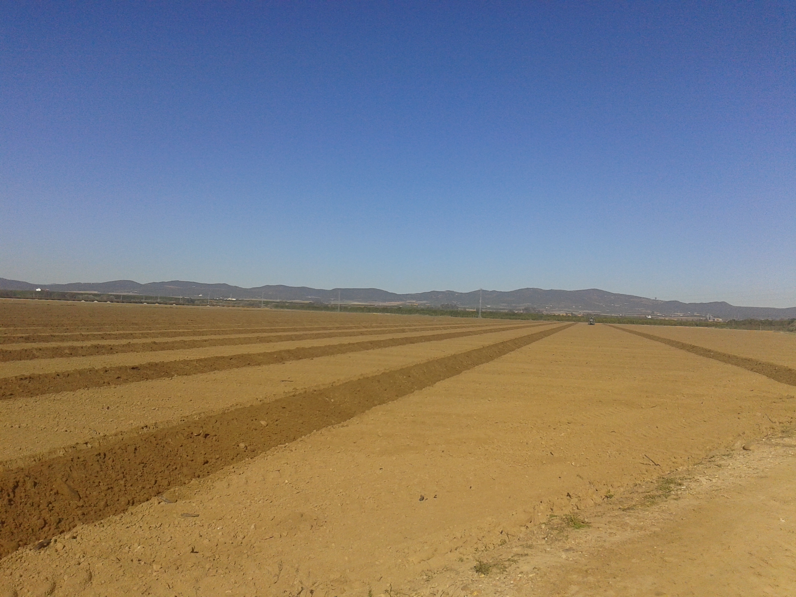 Puesta de largo de la planta piloto en España de Redawn en Palma del Río