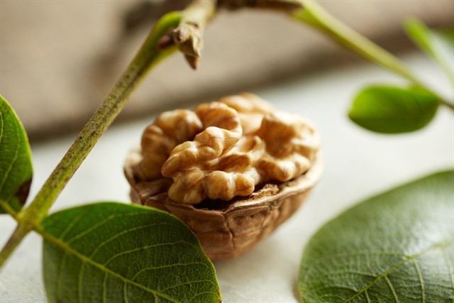 Un estudio revela que el consumo de nueces alarga la vida