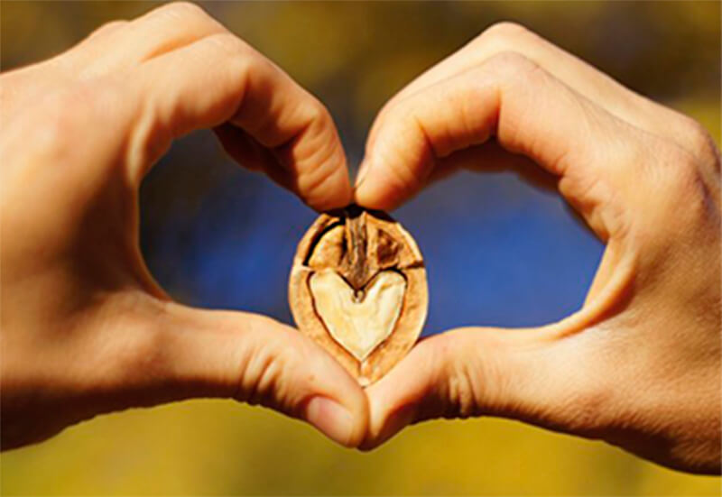 Las Nueces, Verdaderas aliadas del envejecimiento saludable