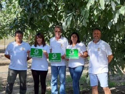 Almaco del Guadalquivir apuesta por la variedad Howard de nuez en Córdoba